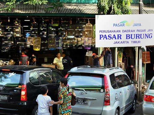 Pasar Burung Pramuka Jakarta Timur, Alamat, Lokasi, Harga 