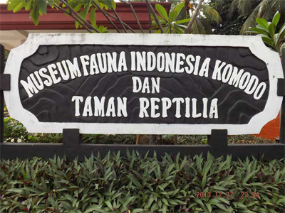Museum fauna indonesia komodo dan taman reptilia alamat angker sejarah tmii